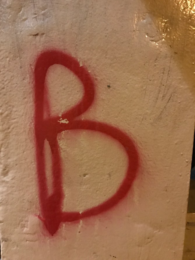 20170514_020503831_iOS