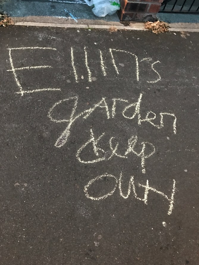 20170518_203128920_iOS