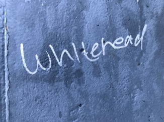 20170613_194317915_iOS