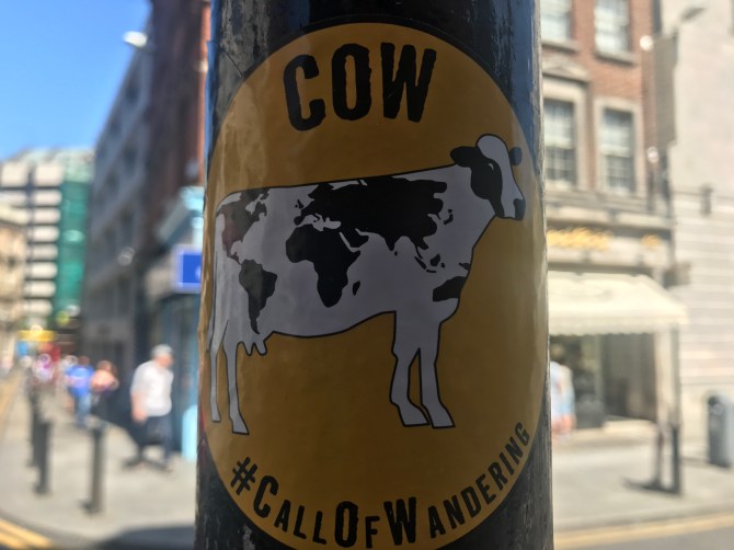 20170618_104625865_iOS