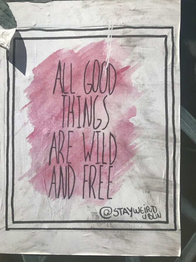 20170618_110822321_iOS