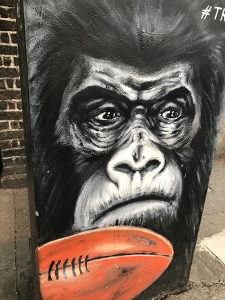 20170706_180132569_iOS