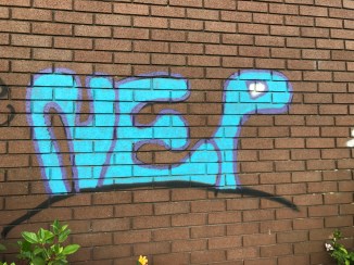 20170706_202642155_iOS