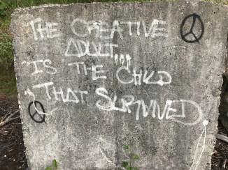 20170706_202728728_iOS