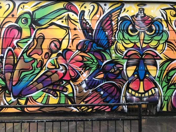 20170711_174405540_iOS