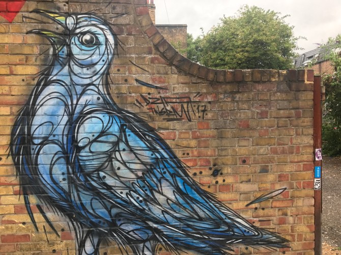 20170711_175343624_iOS