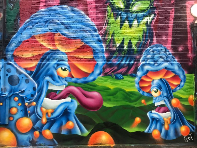 20170711_175524971_iOS