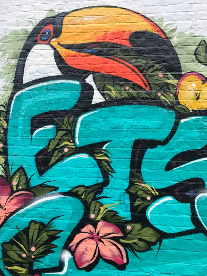 20170711_180007567_iOS