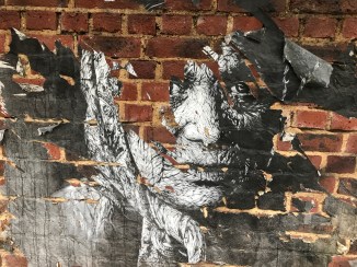 20170711_182719135_iOS 1