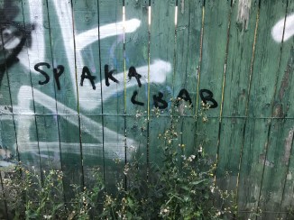 20170717_200130619_iOS