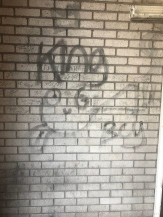 20170724_101242106_iOS