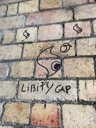 20170726_093241629_iOS