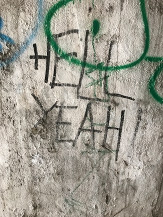 20170726_093317647_iOS