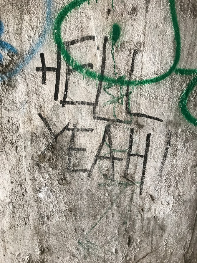 20170726_093317647_iOS