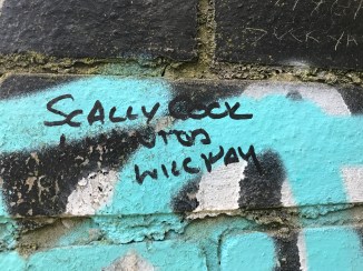 20170728_132352632_iOS