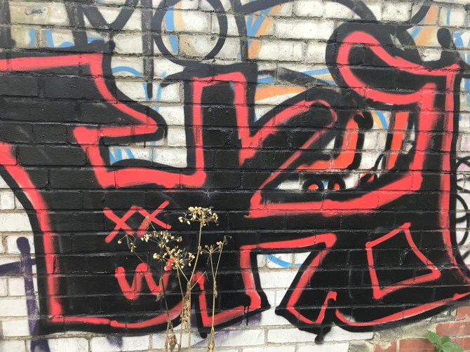 20170728_132450510_iOS