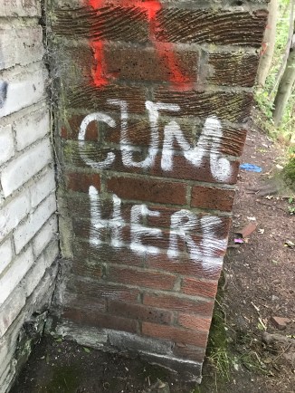 20170728_132506150_iOS