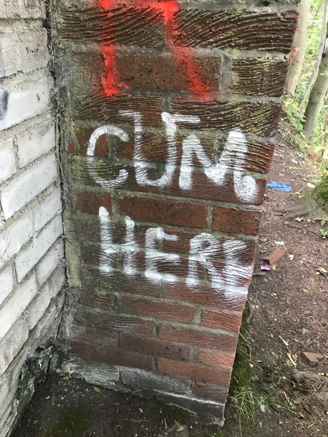 20170728_132506150_iOS