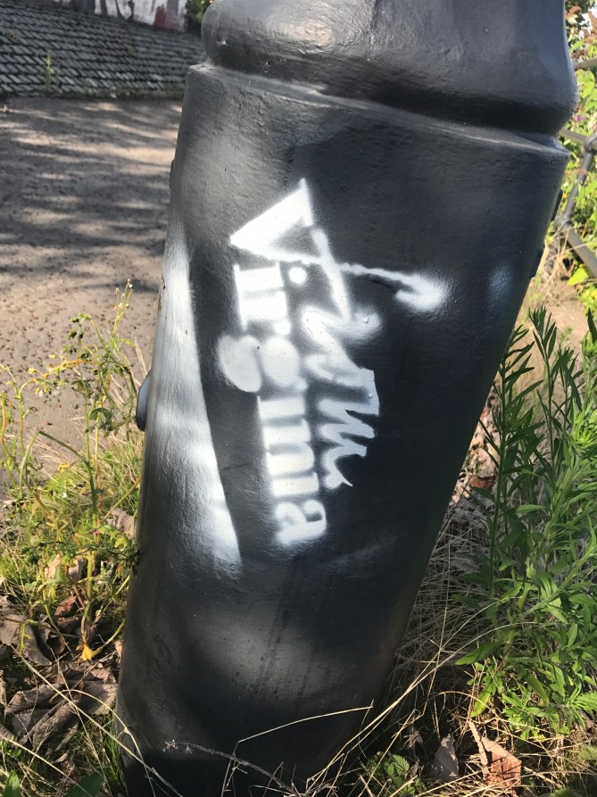 20170815_161719759_iOS