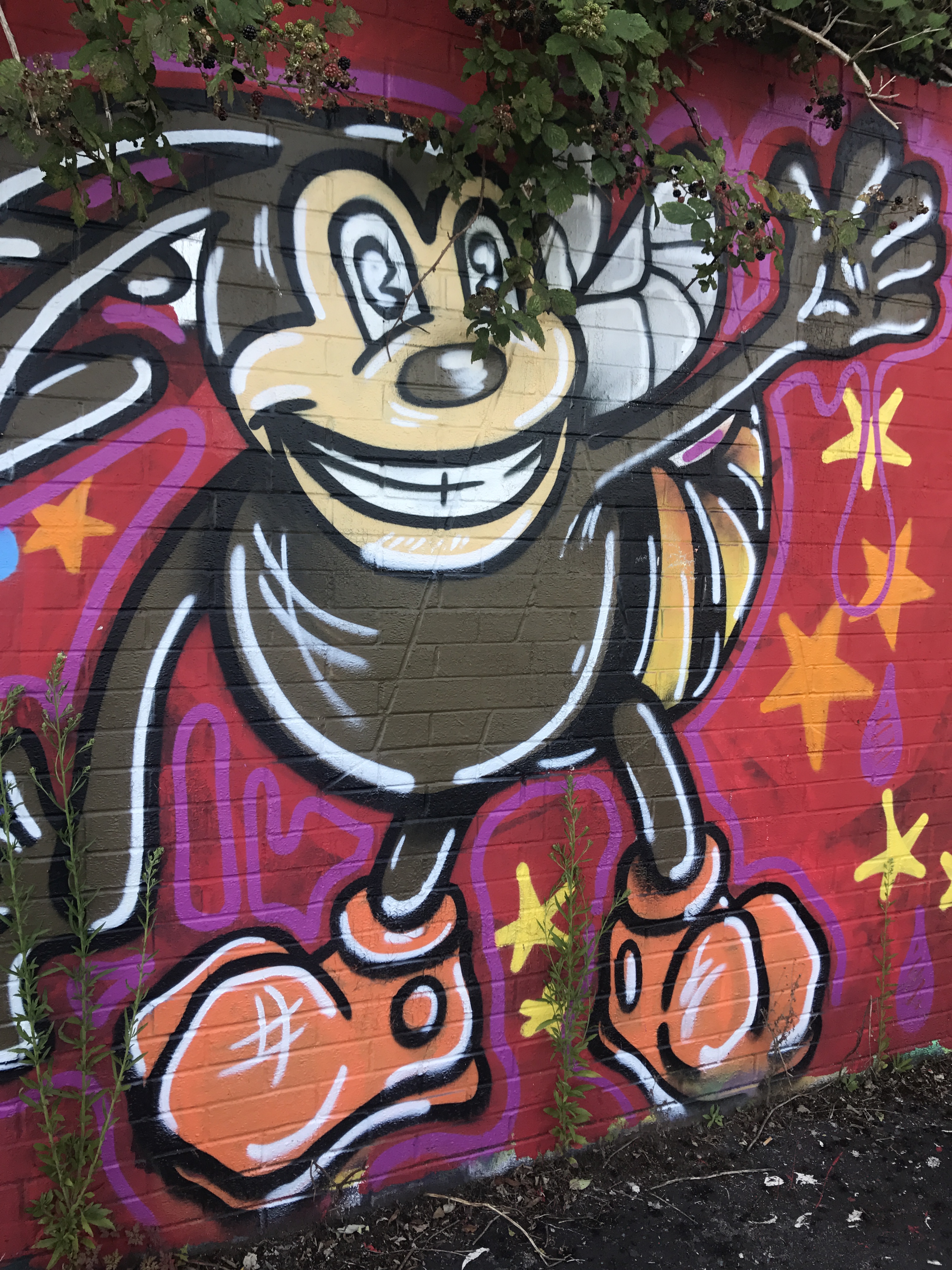 20170815_163535070_iOS