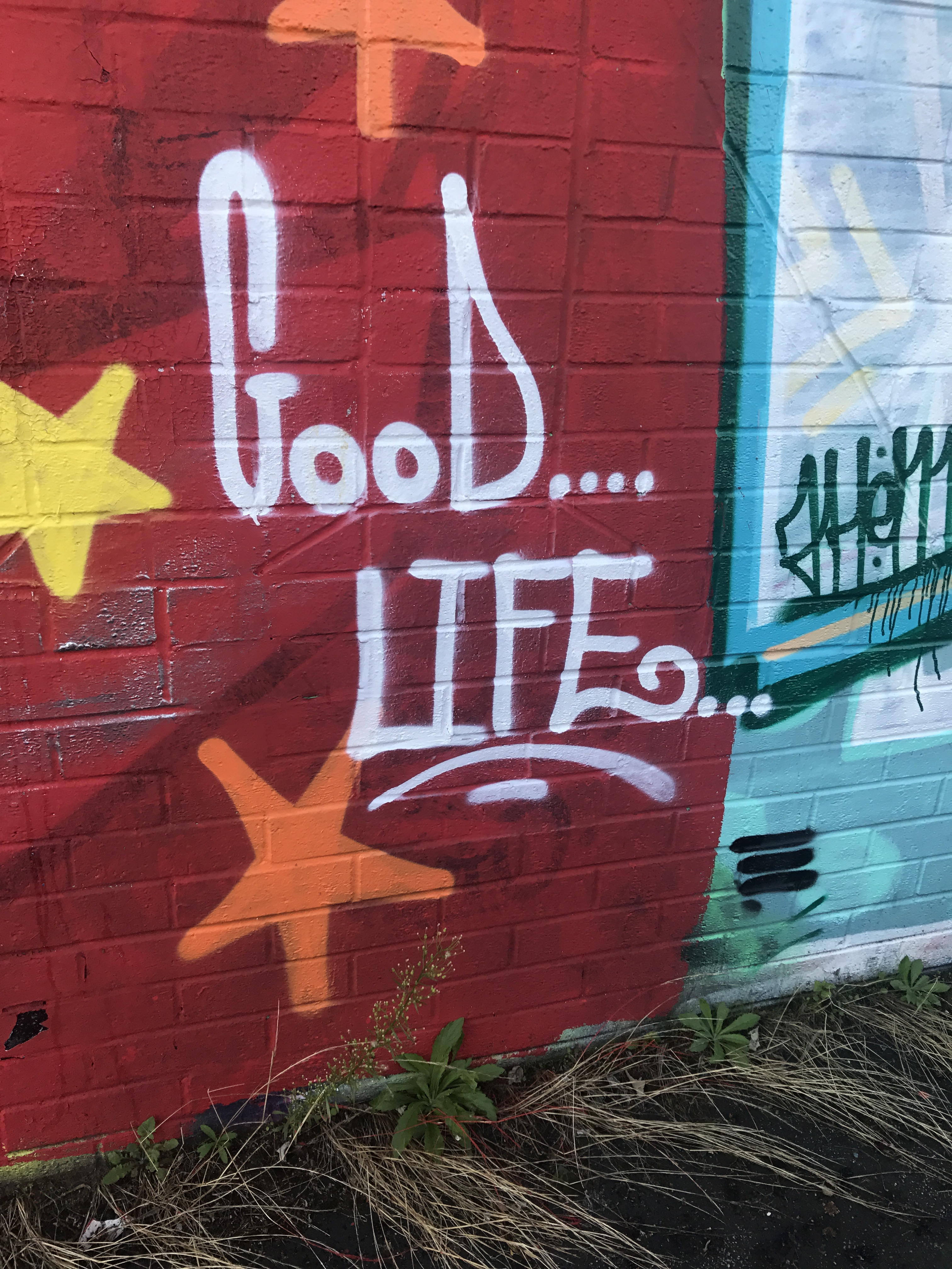 20170815_163543811_iOS