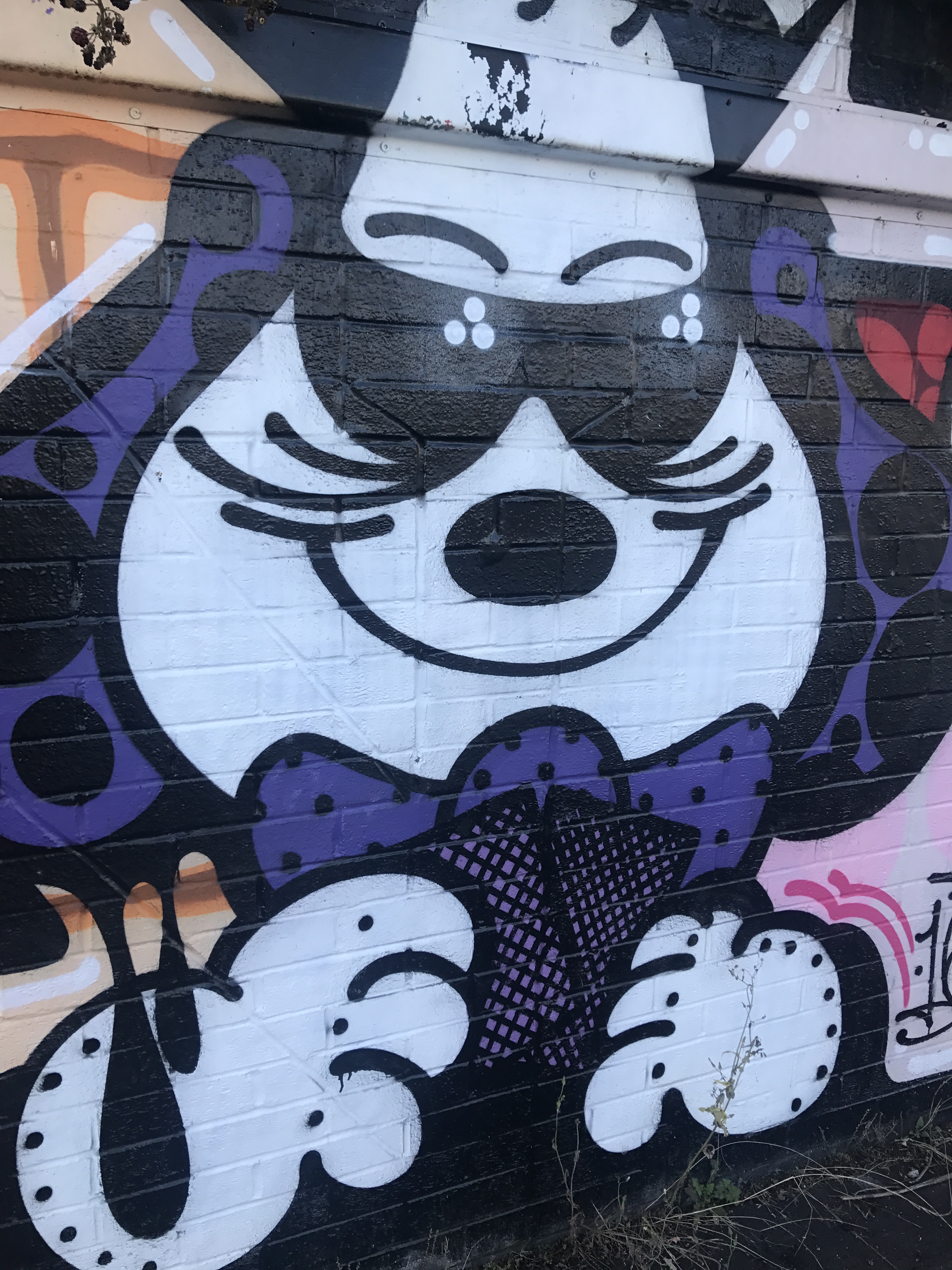 20170815_163601761_iOS