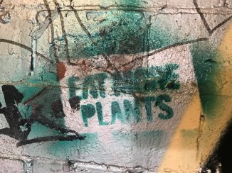 20170816_131314330_iOS