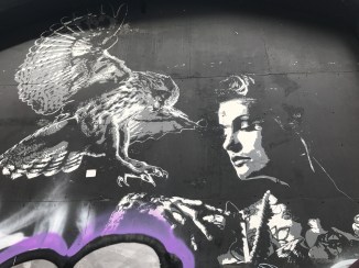 20170816_133919253_iOS