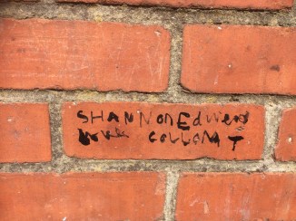 20170821_074150782_iOS