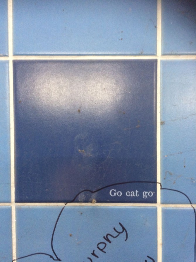 20170821_074302353_iOS