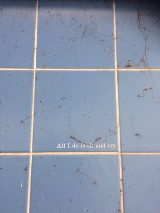 20170821_074343269_iOS