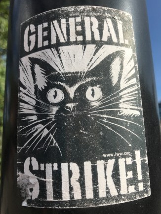 20170826_155718820_iOS