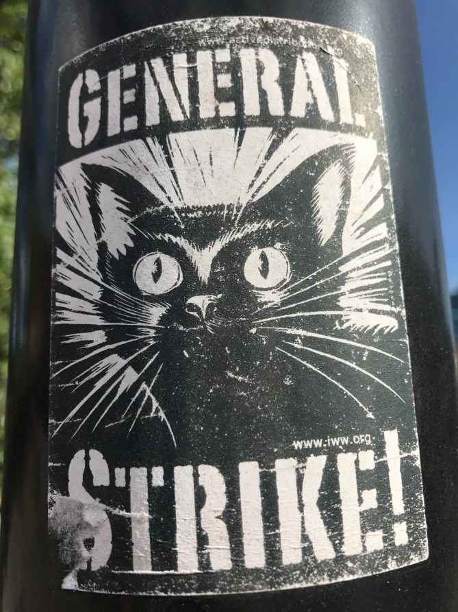 20170826_155718820_iOS