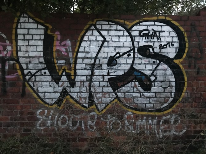 20170921_183217152_iOS