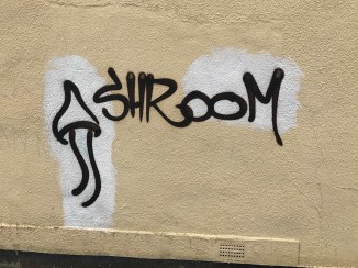 20170924_150651255_iOS