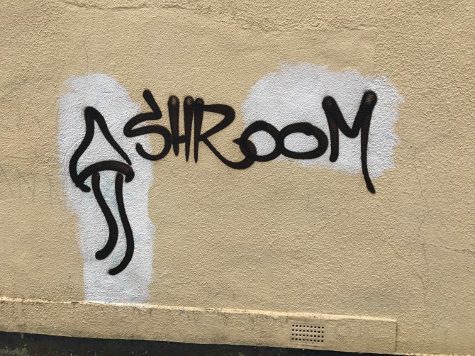 20170924_150651255_iOS