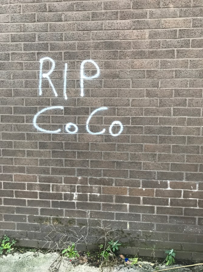 20171129_082745973_iOS