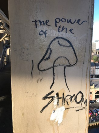 20171203_133545675_iOS