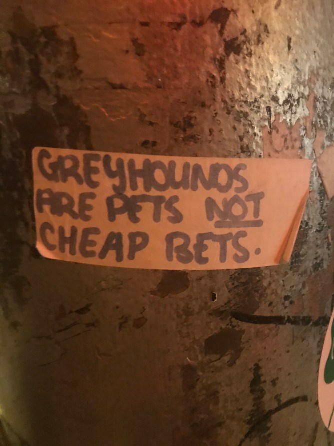 20171217_203020809_iOS