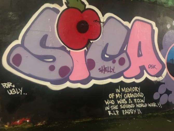 20180113_225419581_iOS