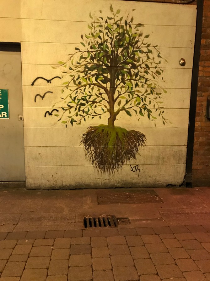 20180123_192053076_iOS