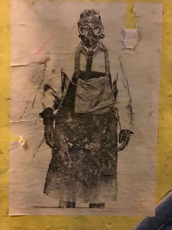 20180215_204432585_iOS