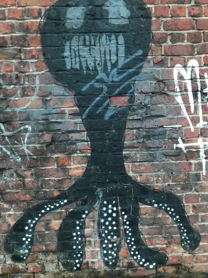 20180316_181129166_iOS