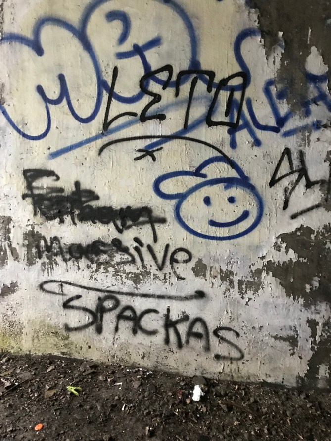 20180410_095250221_iOS