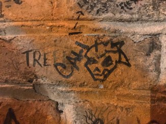 20180425_204727120_iOS