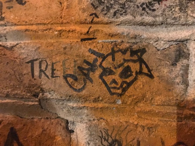 20180425_204727120_iOS