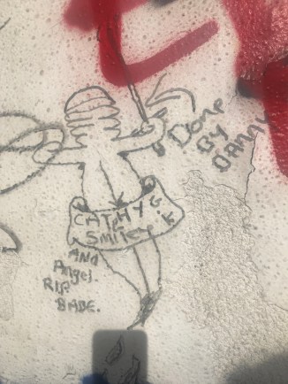 20180426_163825256_iOS 1