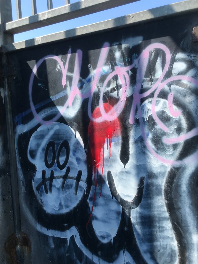 20180527_132614769_iOS 1