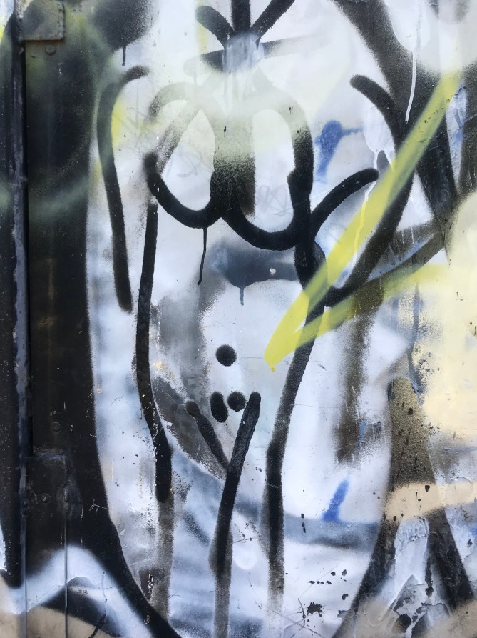 20180527_132729954_iOS