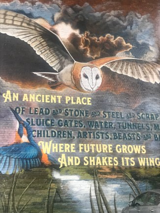 20180613_192339617_iOS